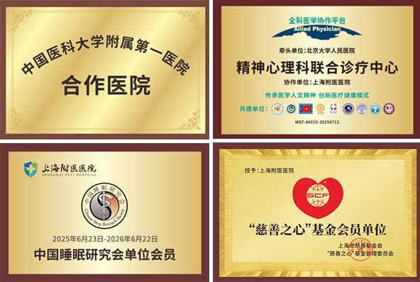 四个荣誉.png
